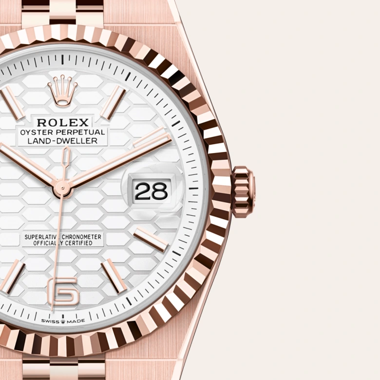 Rolex Land-Dweller 40 18 kt Everose gold, M127335-0001